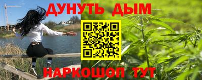 Альфа ПВП Обнинск