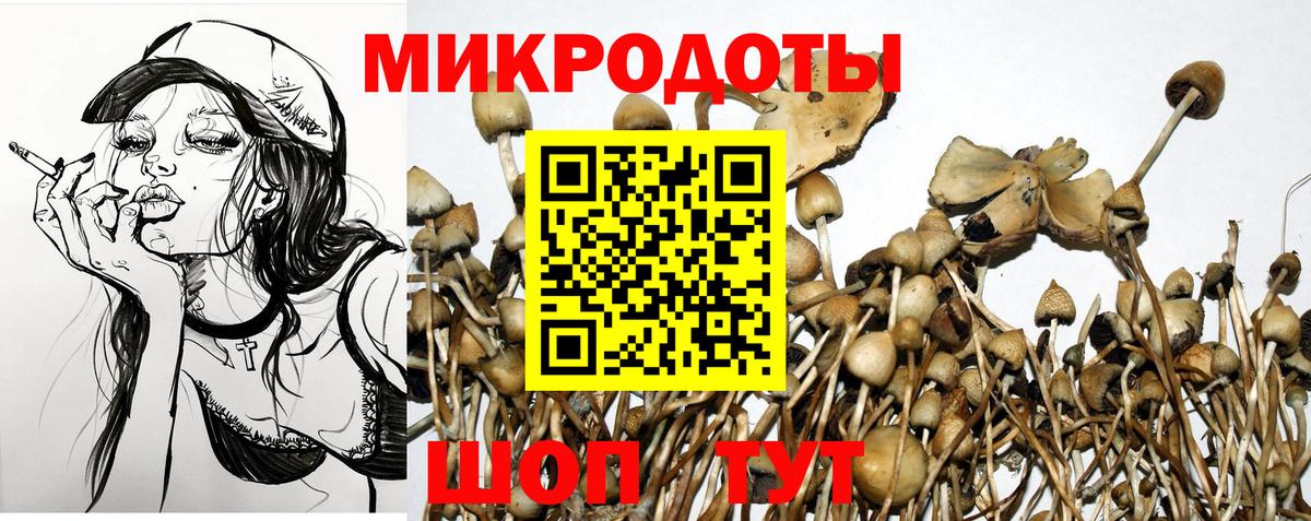 Галлюциногенные грибы Cubensis Рязань