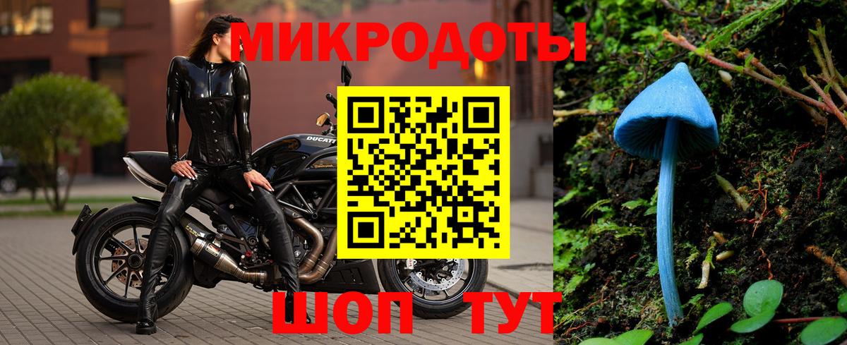 Рязань  Псилоцибиновые грибы мицелий  Вход с VPN  Галлюциногенные грибы GOLDEN TEACHER 